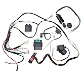 LAXEEM Complete Electric Start Engine Wiring