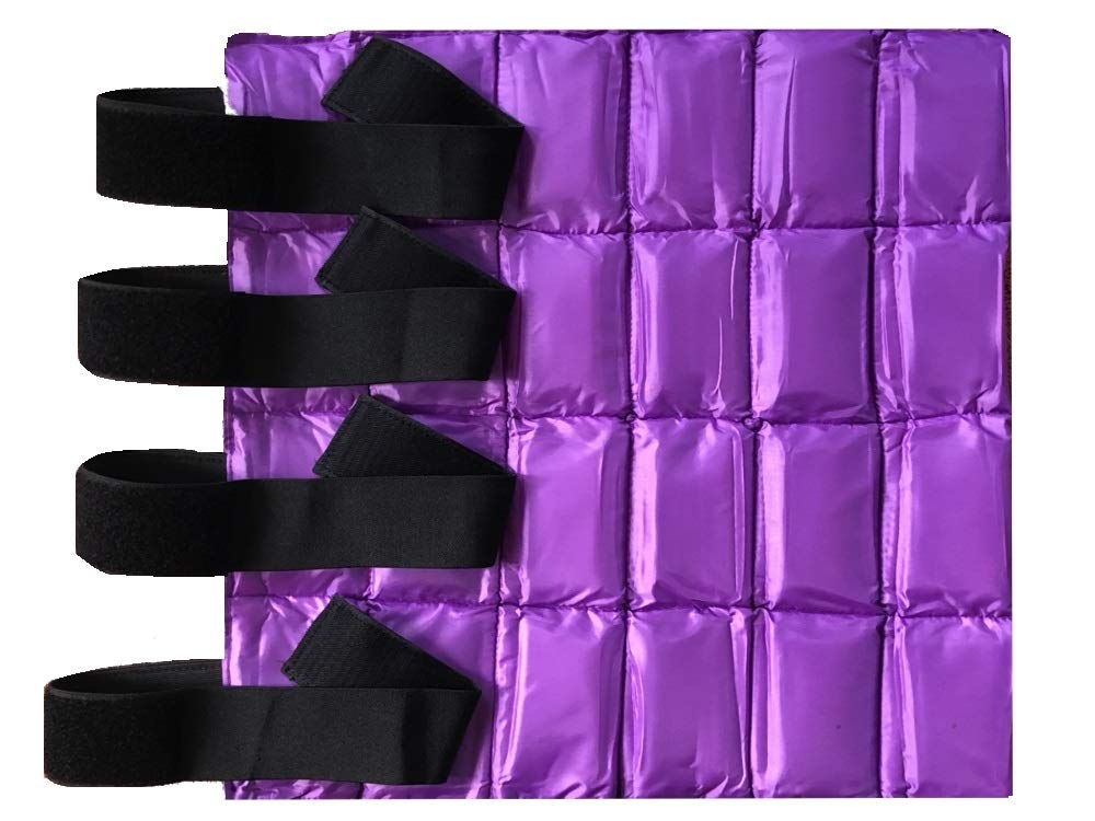 Buy Ice Boot Wrap for Horse Leg Tendon Knee Hock Reusable Cold Pack