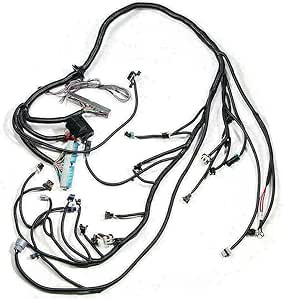 Amazon.com: DENESTUS Engine LS1 Standalone Wiring Harness DBC 4.8 5.3 6