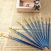 AOOK 10 Pieces Paint Brush Set Watercolor Brushes Professional Paint Brushes Artist for Watercolor Oil Acrylic Painting (1-Pack)