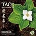 Tao 2019 Wall Calendar: Selections from the Tao Te Ching and Chuang Tsu: Inner Chapters by 