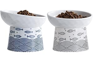 TAMAYKIM Tilted Ceramic Elevated Cat Bowls, Food and Water Raised Bowl Set for Kitty Cats and Small Dogs, Porcelain Stress Free Feeding Pet Bowl Dish, Black & Blue, Set of 2