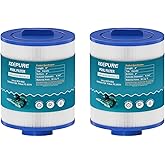 KEEPURE PAS50SV-F2M Hot Tub Filter Replacement for Artesian Spas,06-0005-12,6CH-502,06-0006-12,Filbur FC-0311,XLS-604,AR50,AK-9016,M60506 Spa Filter,50 Sq.ft,2Pack