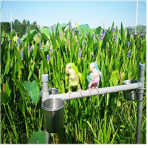 star sound source Waterproof Washable Reusable Bird Parrot Diaper Flight Suit Nappy,Soft Pet Pee Pad Suitable for Parrot Macaw, African Grey Budgie Parakeet, Cockatoos (Powder Rabbit L)