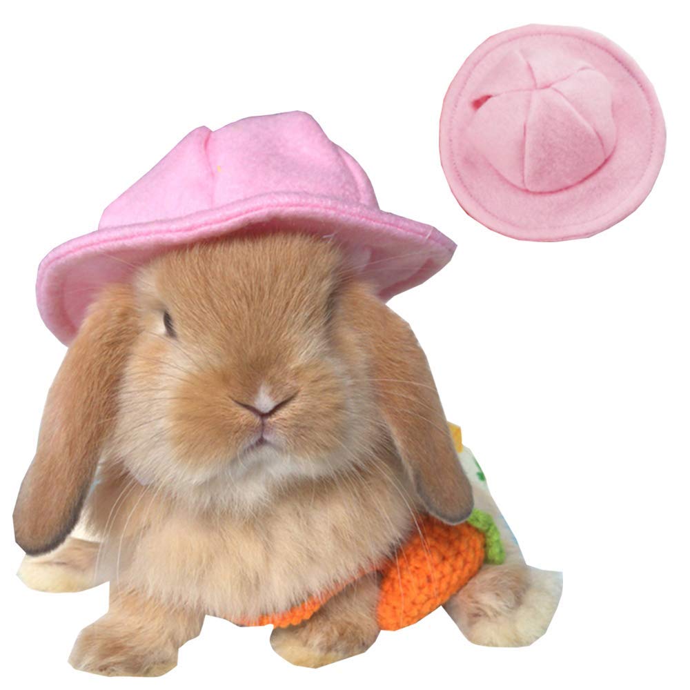 ANIAC Funny Cat Hat for Cat XXS Dog Sun Hat with Ears Hole Rabbit Outfit for Bunny Mini Sombrero Puppy Hat Party Costume Head Accessories for Kitten Kitty Small Breeds (Pink)
