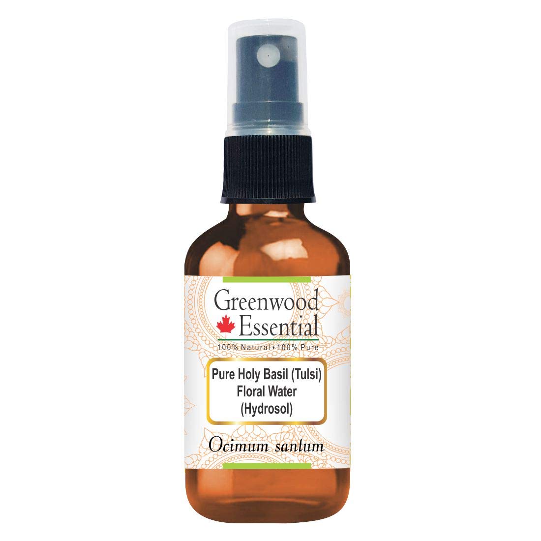 Greenwood Essential Pure Holy Basil (Tulsi) Floral Water (Hydrosol) (Ocimum santum) 100% Natural Therapeutic Grade 100ml (3.38 oz)