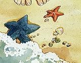 Starfish Story Make a Difference Note Cards Boxed Set - Toes and Starfish - 16 Premium Cards and Matching Envelopes