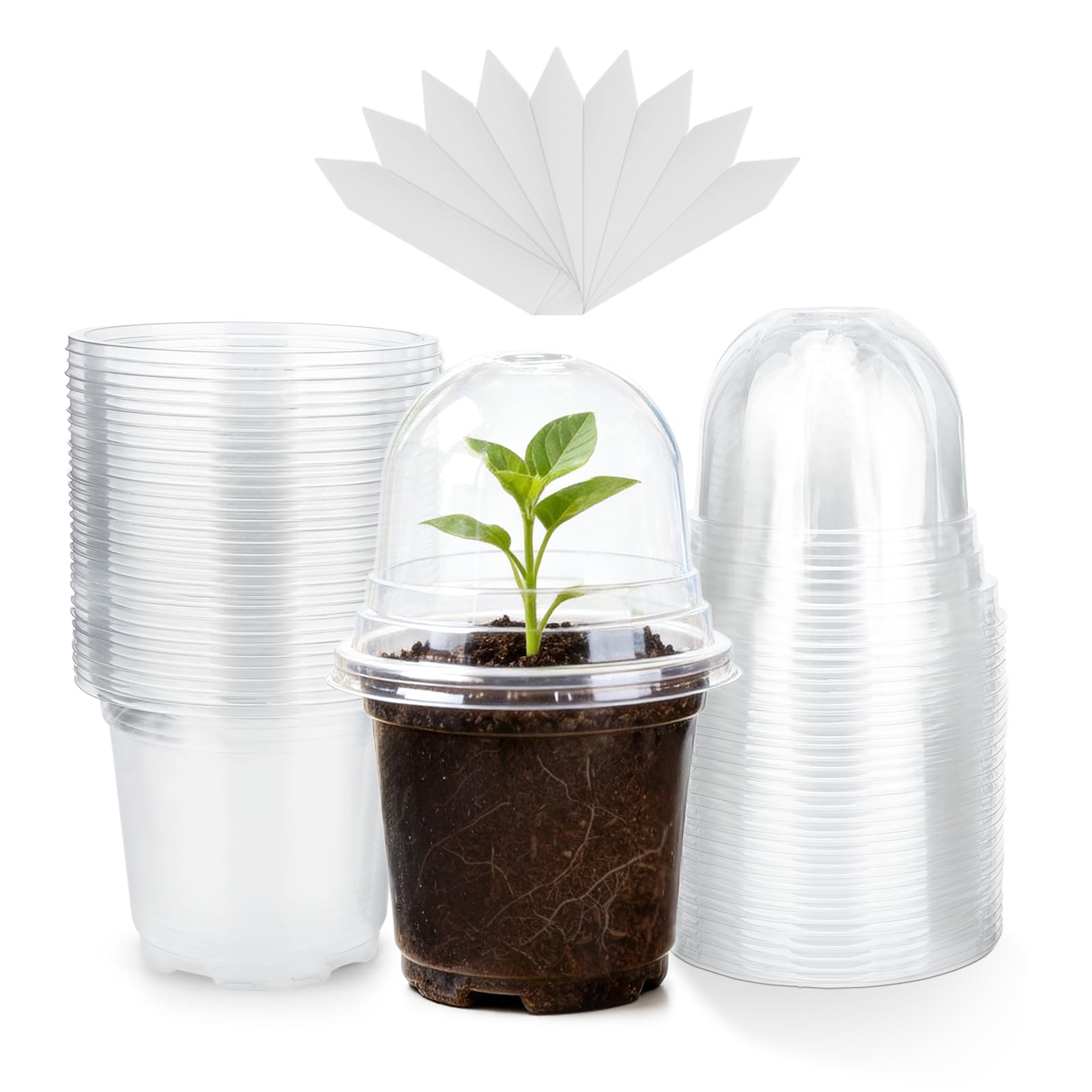 KINGLAKE 32 Pcs 10cm Clear Plastic Plant Pots with Humidity Dome, Small Plant Flower Pots Nursery Seedling Pots for Seed, Cuttings, Succulents and 10 Pcs Plant Labels