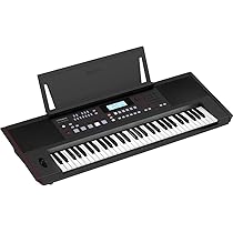 Amazon.com: Roland E-X50 Electronic Arranger Keyboard – Easy-to 