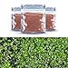 Homedeco Aquarium Glossostigma Hemianthus Callitrichoides Seeds Water Grass Easy Aquatic Live Plant Fish Tank Decoration Landscape Ornament