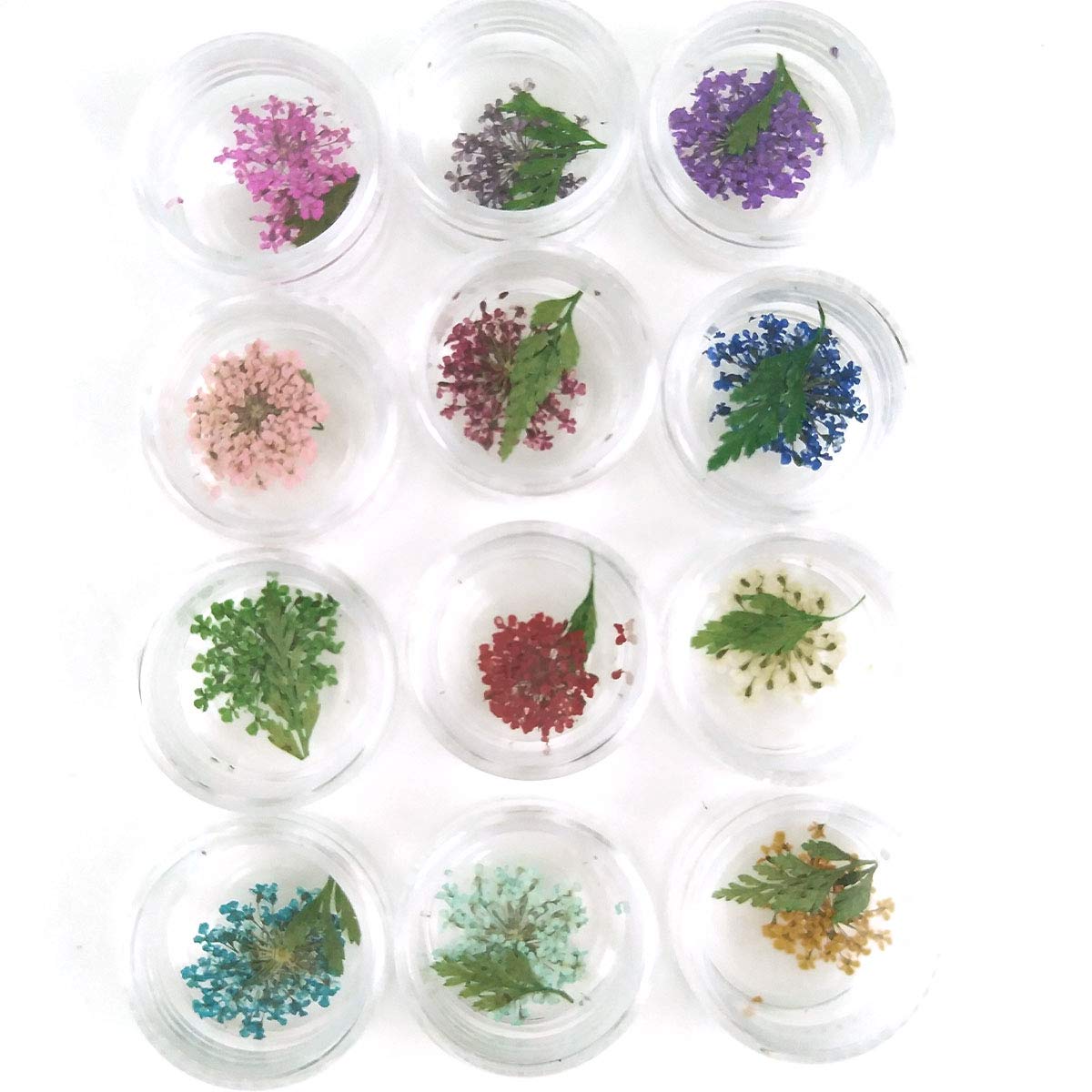 Flower Nail Art, Real Flowers for Nails, 3D Nail Stickers with Nature Dry Flowers Leaves 36 Pcs