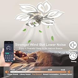 BESKETIE 25.6" Bladeless Ceiling Fan with Lights