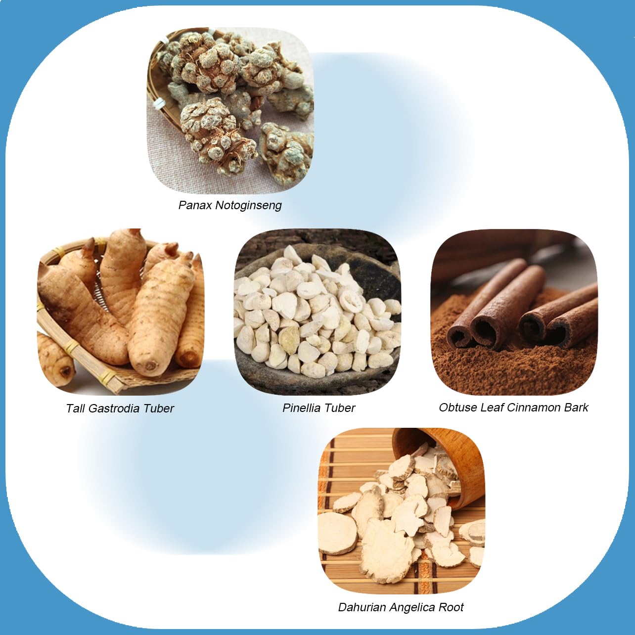 Ship-EEZ Sea Sickness Patch for Cruisers