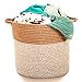 Extra Large Woven Jute Storage Baskets | 17