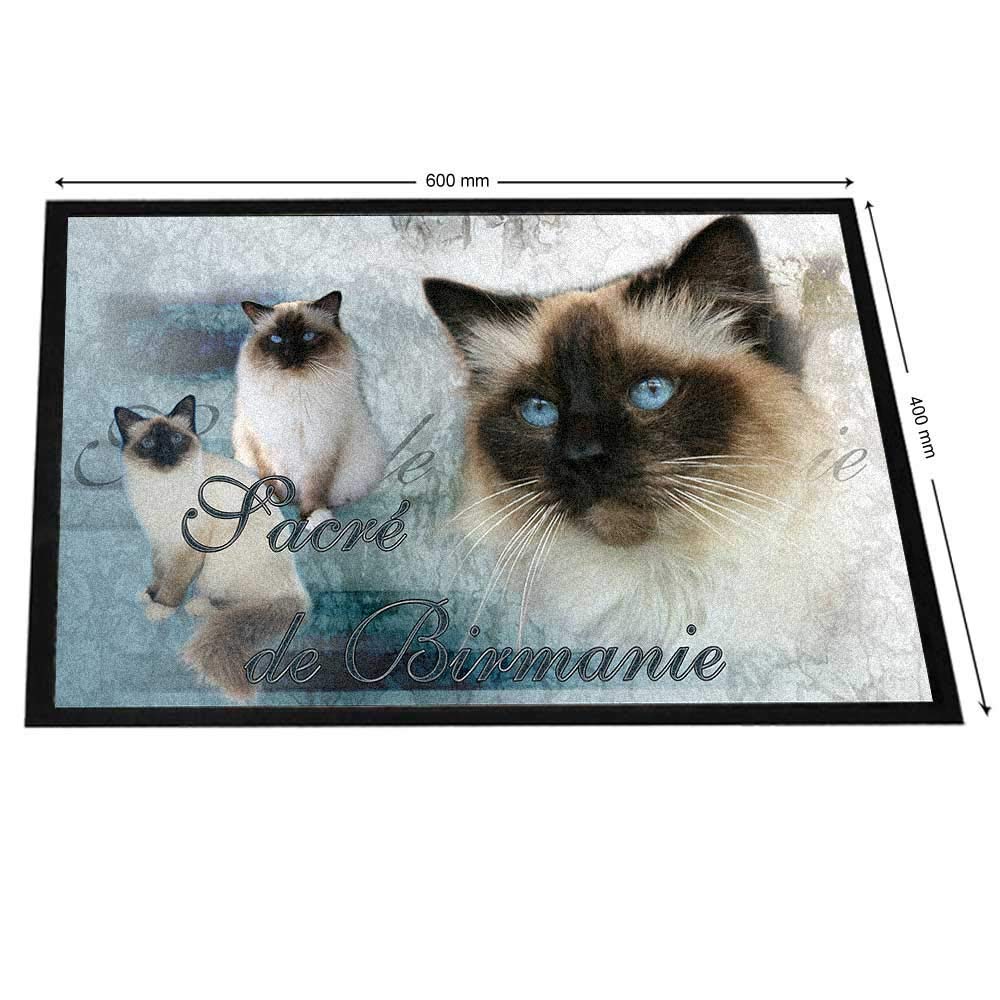 Pets Easy Chat Sacrée De Birmanie Sur Tapis Design De Chat