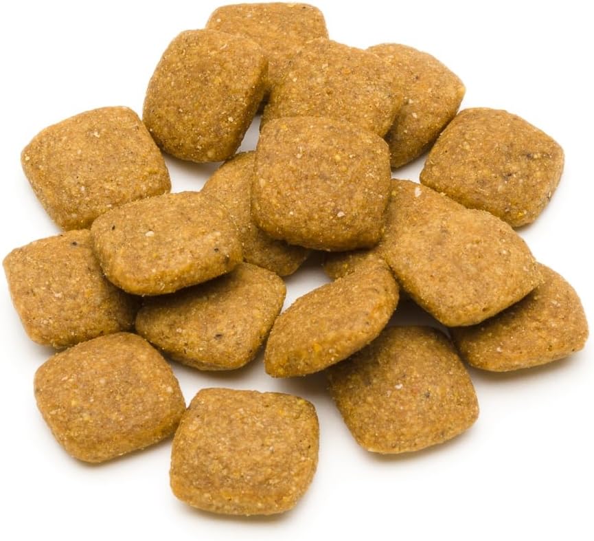 by Amazon - Complete Dry Dog Food for Adult Dogs Rich in Chicken with Peas, 1 Pack of 5kg, 5 kg (Pack of 1) - Image 4