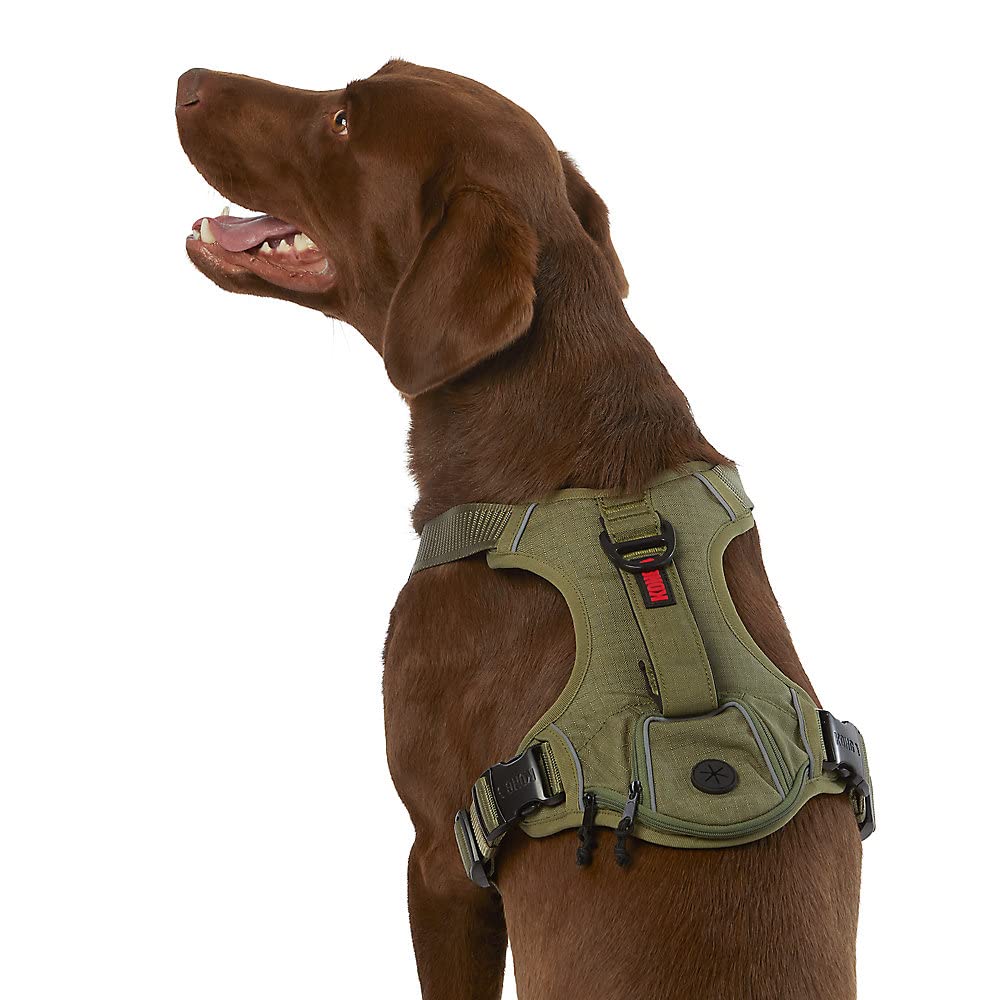 Photo 1 of KONG Ultra Durable Waste Bag Harness (XL, Green)
