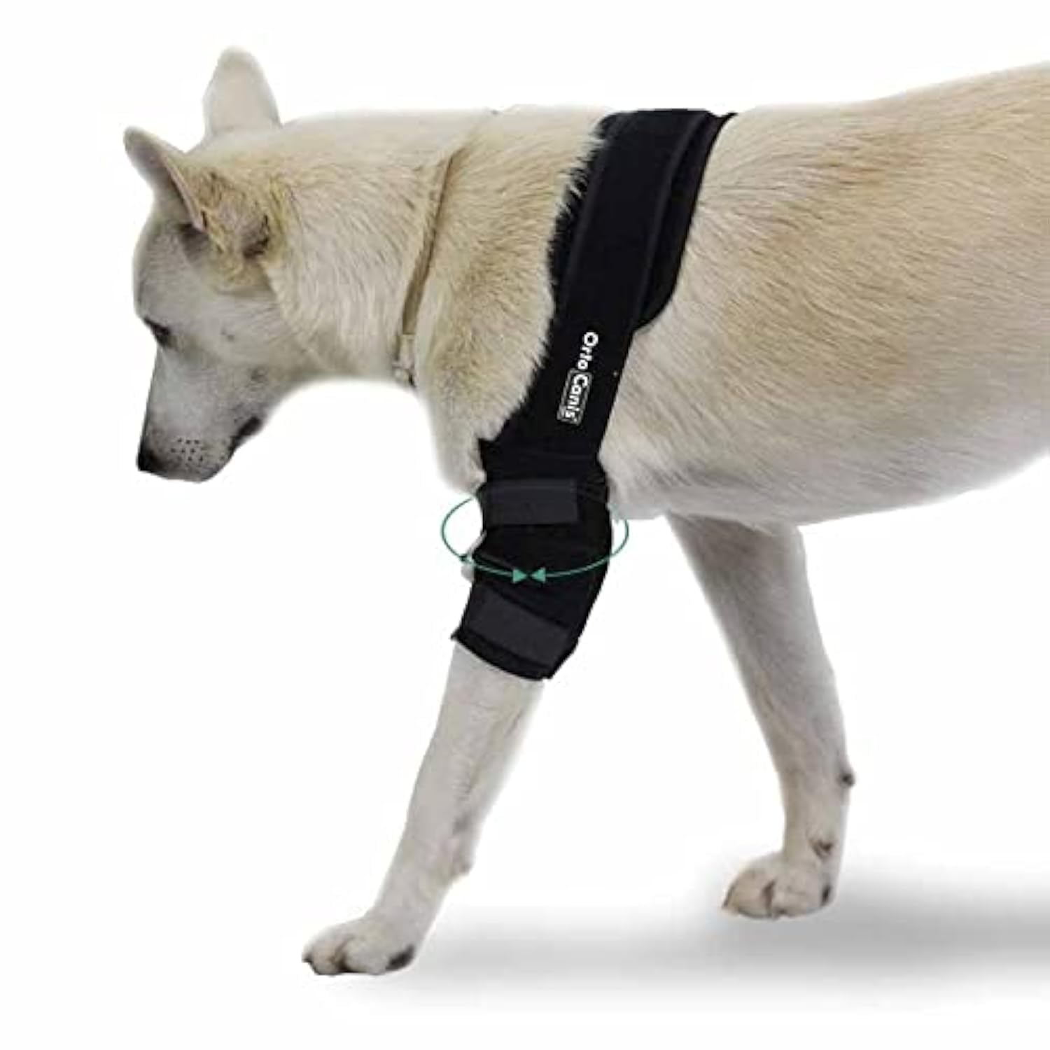 Ortocanis - Elbow Protector for Dogs with Osteoarthritis, Injuries, Hygromas or Bursitis, Size L, Right Leg