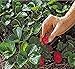VISNU Netting Plants and Fruit Trees-Protect Property & Crops from Damage & Mess,3/5-Inch Mesh-Against Birds,Deers and Other Pests(7ft X 20ft), Black