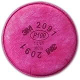 Particulate Filter 2091, P100