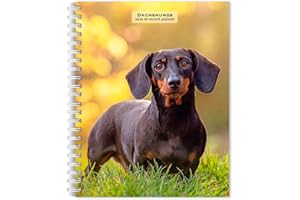 Dachshunds | 2026 6 x 7.75 Inch Spiral-Bound Wire-O Weekly Engagement Planner Calendar | New Full-Color Image Every Week | BrownTrout | Animals Dog Breeds Pets