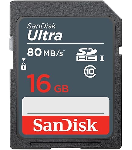 Amazon.com: Sandisk Ultra SDHC 16GB 80MB/S C10 Flash Memory Card