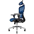 Nouhaus Ergo3D Ergonomic Office Chair Lumbar Support Mesh Office Chair with 4D Adjustable Armrest, Adjustable Headrest and Wheels, Mesh High Back Home Office Desk Chairs(Blue)