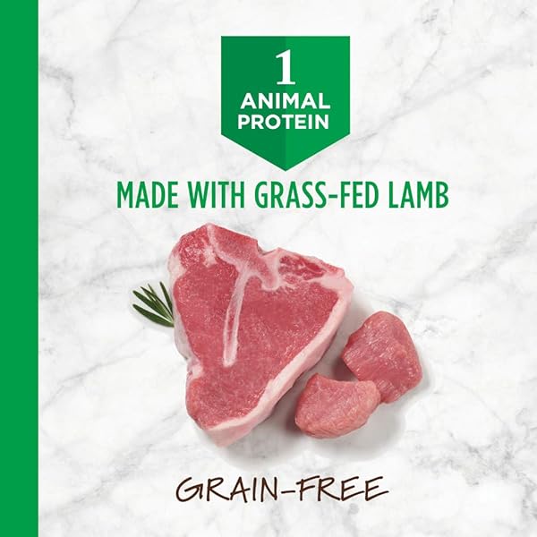 INSTINCT LIMITED INGREDIENT DIET, NATURAL DRY DOG FOOD, GRAIN FREE RECIPE – REAL LAMB, 4 LB. BAG
