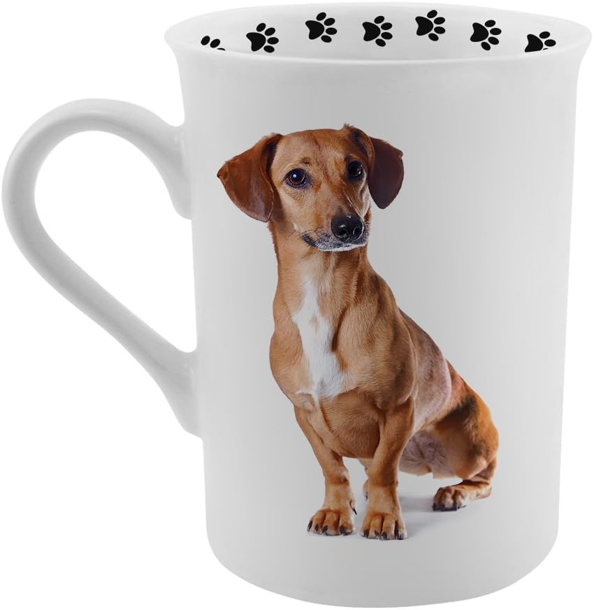 Dimension 9 Dachshund Red Coat Coffee Mug, White