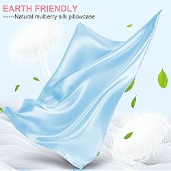Mulberry Silk Pillow Cases 2 Pack Queen Size 20x30