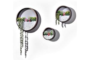 ZEETOON 3 Pack Set Modern Wall Planters Hanging Succulent Pot Hanger Circle Metal Flower Pot Live Plant Container Vase Wall Decor Size S,M,L, Coffee, with 3 Artificial Succulent Plants