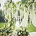 TRvancat Artificial Wisteria Hanging Vine 12 Pack 3.6FT/pcs, Fake Silk Flowers in Natural Chain Garland for Wedding Ceremony Arch Party Home Garden Decor (White)