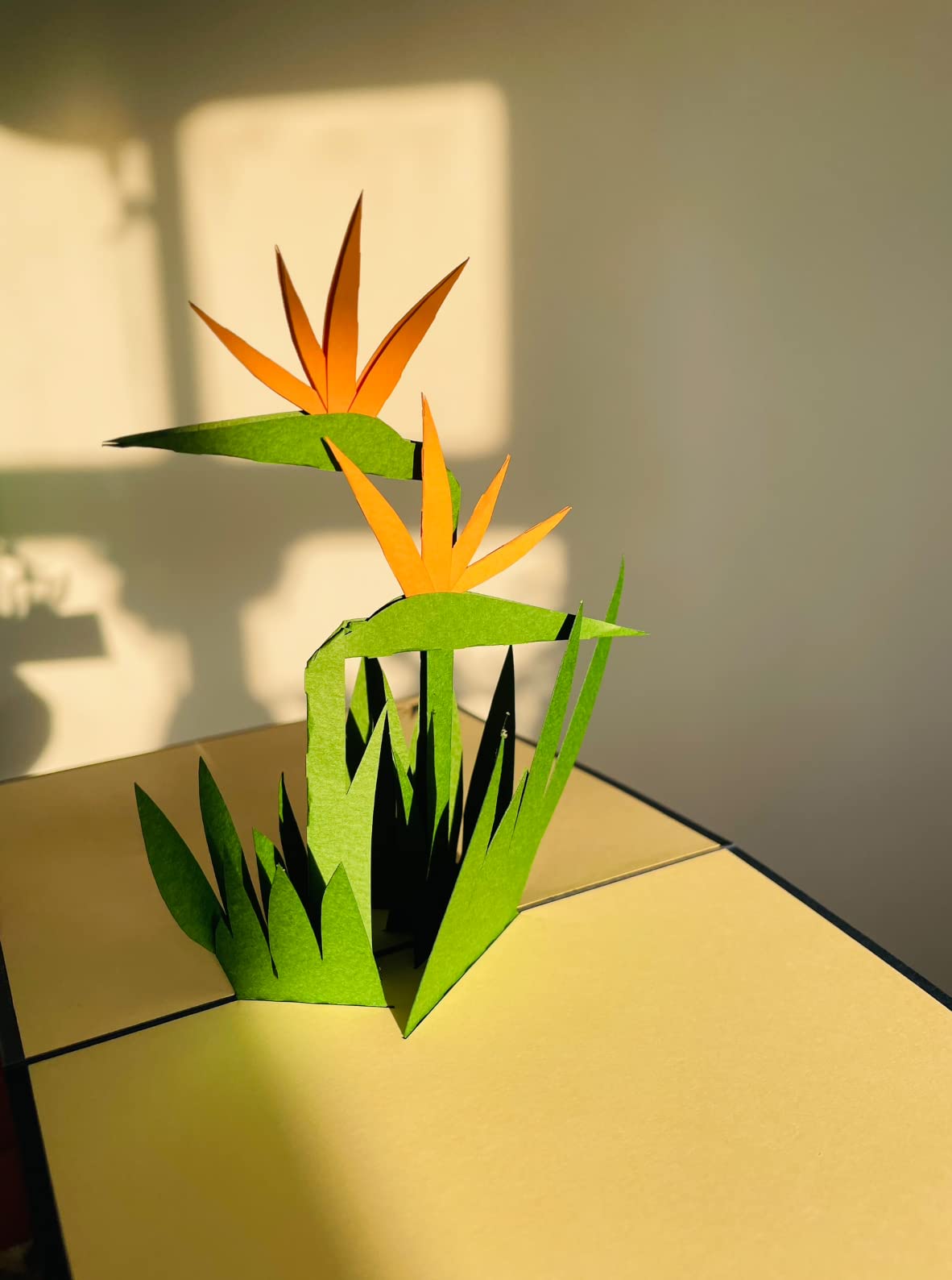 Bird of paradise flower Pop Up 3D card. Flower Spring Collection. An elegant card with a delightful surprise greeting card gift for Daughter, Mum, Friend, Granddaughter, Wife, Sister, Grandma15cmx15cm