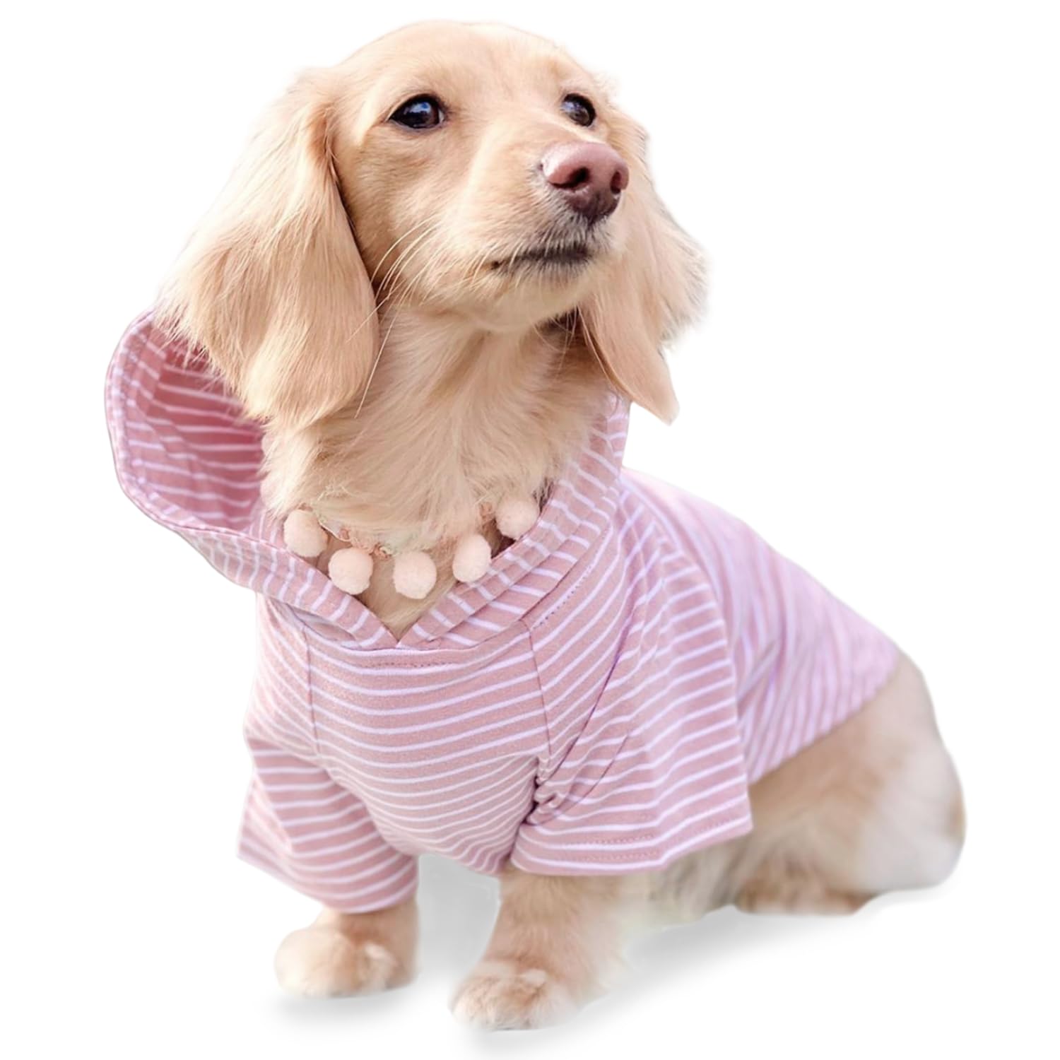 DJANGO Dog Hoodie – Warm, Lightweight, Soft & Stretchy Dog Sweater with Hood, Harness Hole & Elastic Waistband – Cozy Sweatshirt for Small Dogs up to 25 lbs, Dachshunds & Puppies – Blush Pink, Medium