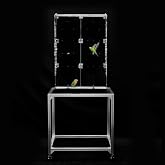 GuineaLoft&trade; Model-ET213 Crystal Clear Acrylic Bird Cage | 2'x1'x3' Mid-Sized Tall Cage W/ Stainless Steel Mesh Top &amp; Bottom, Dual Side Doors, &amp; Reusable Canvas Bottom