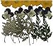 Pressed flowers, larkspur, evening primrose, pansy, foliage for art & craft, card making