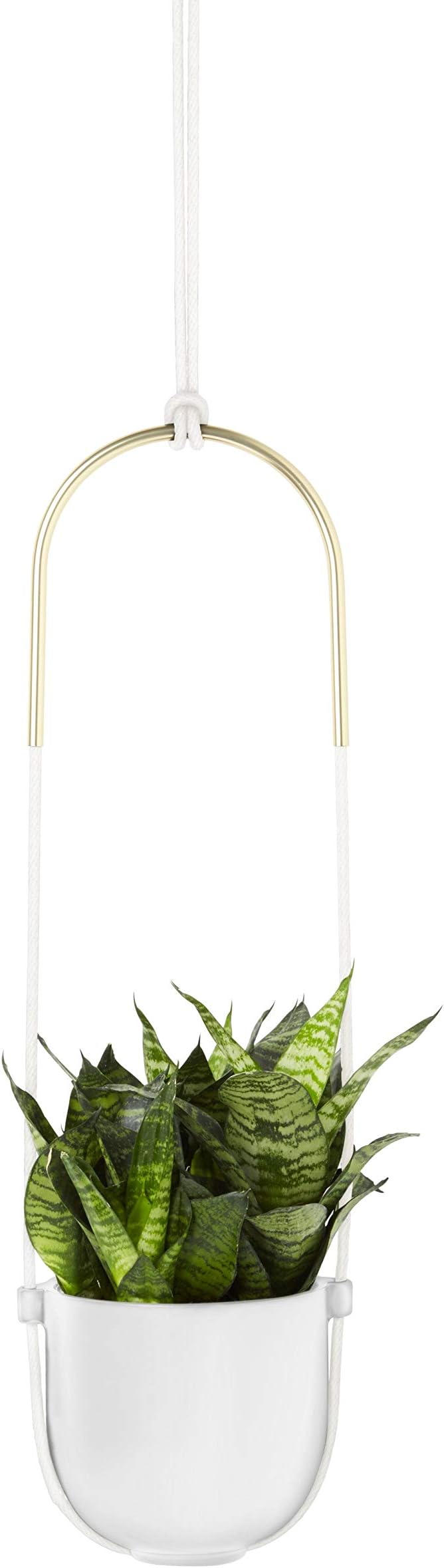 Umbra Bolo Hanging Planter, Great For Succulents And Other Small Plants, Twin, White