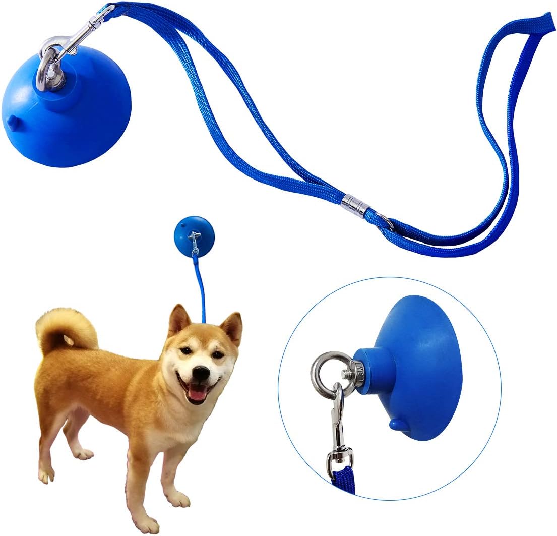 dog bathing tether