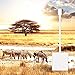 Gikpal SD Camera Card Reader, 2-in-1 Android and Phone Connector Trail Hunter and Game Camera Viewer for iPhone 5/5S /6/6S /7 Plus iPad and Android Phones, No App Require