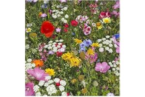 HIPGIRL Sow in Fall! Wildflower Seed Mix,Mixed Wildflower Seeds Attract Bees,Attract Butterflies,Attracts Pollinators, for Home Garden&Container Garden(Wildflower Seeds-Hummingbird and Butterfly Mix,5g)