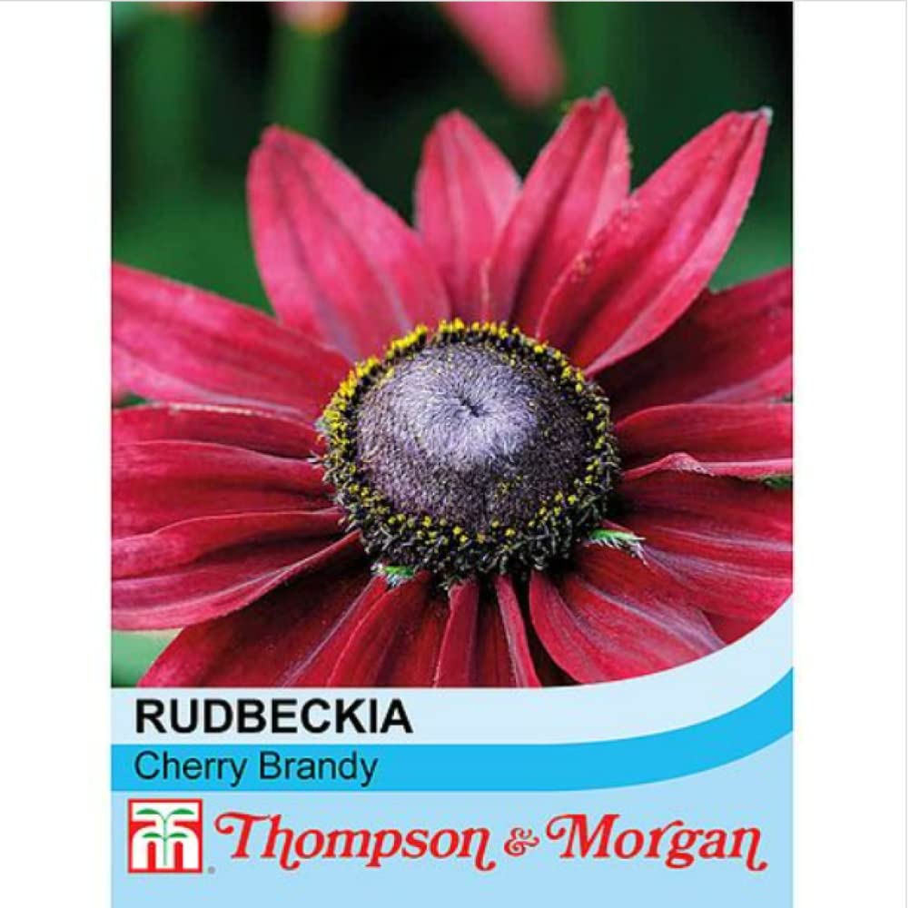 Thompson & Morgan - Flowers - Rudbeckia Cherry Brandy - 50 Seed