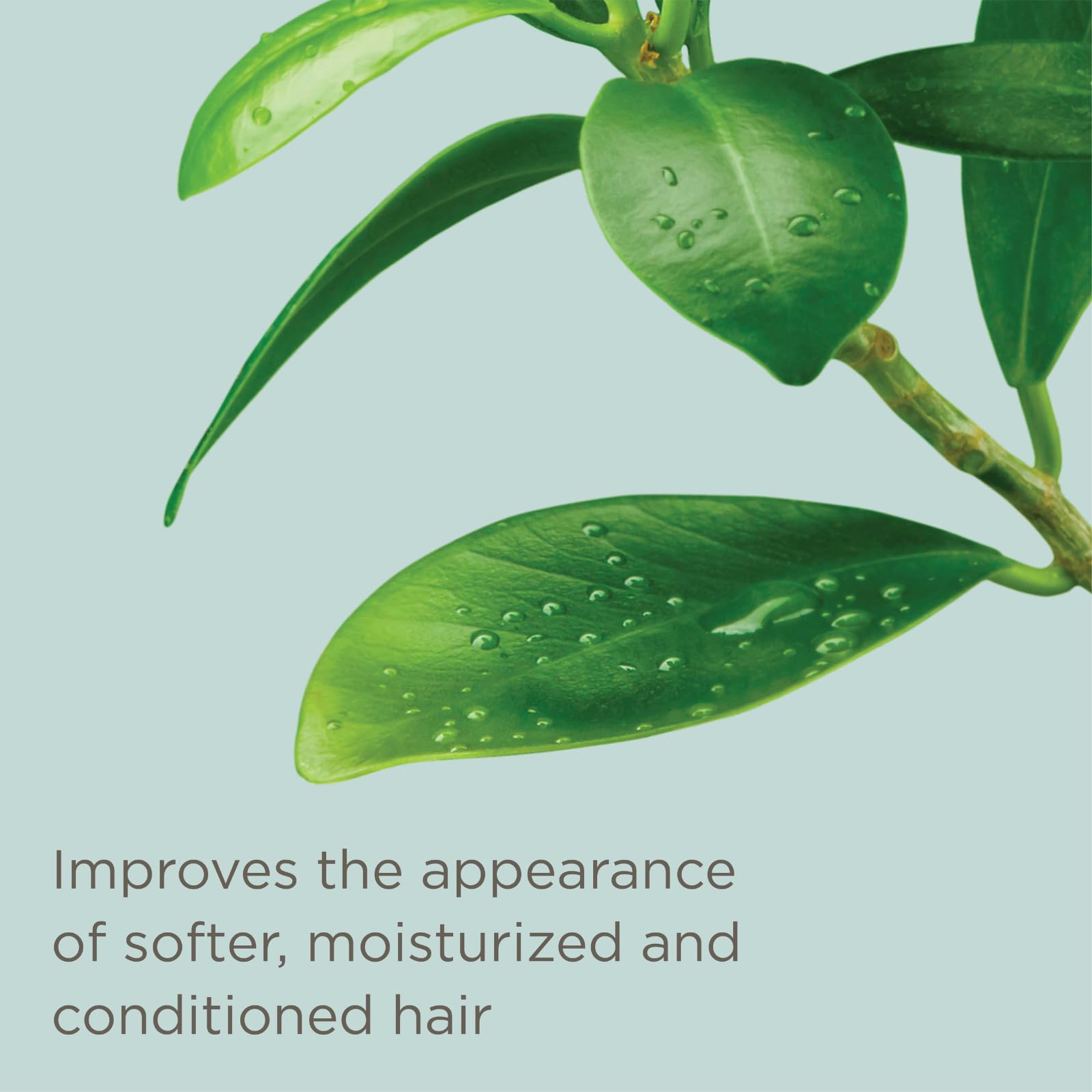 Hairitage Detangling Leave-in Conditioner Spray - Leave In Hair Treatment for Dry Damaged + Curly, Fine, Wavy, Frizzy Hair - Lightweight Formula - Sulfate Free - Cherry + Amber Scent, 6 Fl oz