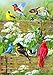 Buffalo Games - Hautman Brothers - Songbird Menagerie - 1000 Piece Jigsaw Puzzle