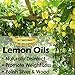 Heavenly Pure Lemon Essential Oil 4 oz with Dropper for Aromatherapy, Diffuser, Candle, and Mosquitoes (118 ml)