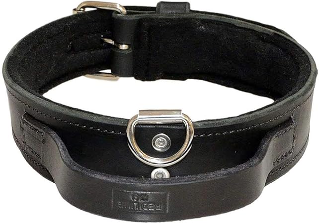 amazon prime dog collars