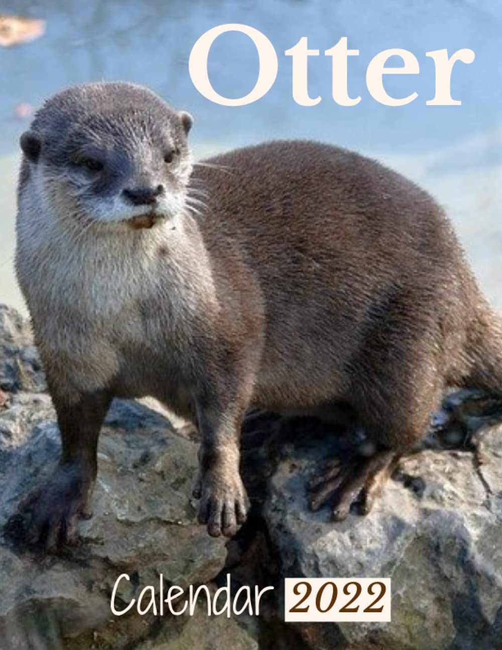 Otter Calendar 2022: Otters Monthly Square Calendar With Holidays Of The Year Note And Planner. Cute Mink Big Box To Write Tasks And Plans. Large ... Aquatic Animal Sea Mammal . Non-Glossy