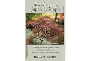 How to Care for a Japanese Maple: The Complete Guide to Perfect Pruning, Solving Leaf Scorch, and Keeping Your Acer Palmatum 