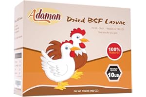 Adaman Dried Black Soldier Fly Larvae 10 LBS-100% Natural Non-GMO BSF Larvae-More Calcium Than Dried Mealworms High-Protein Chickens Treats, Food for Wild Birds, Ducks, Layer Hens