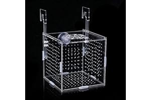Loogujuzao Fish Breeding Box, Clear Acrylic Fish Isolation Box with Suction Cups and Hanging Hook for Baby Fishes, Shrimp, Gu