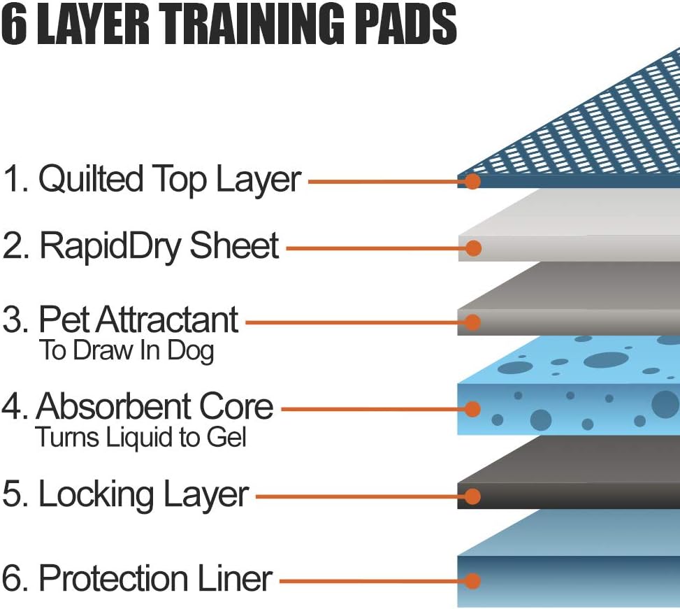 BV Pet Potty Training Pads for Dogs, Puppy Training Pads, 22" x 22", 100-Count : Pet Supplies